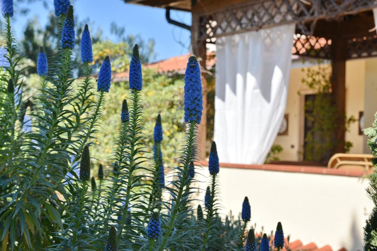 Villa Tina Santa Maria di Castellabate Kültér fotó